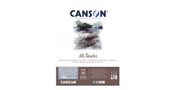 CANSON MI-TEINTES BLOC COLLÉ 160 G 20 FEUILLES TONS FROIDS