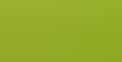 FABER-CASTELL PITT PASTEL MATITA PASTELLO - MAY GREEN N. 170