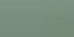 FABER-CASTELL PITT PASTEL MATITA PASTELLO - EARTH GREEN N. 172
