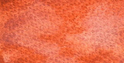 HOLBEIN ARTISTS' ACQUERELLO GRANULATO TUBETTO FLAMINGO ORANGE