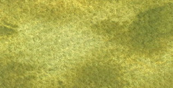 HOLBEIN ACUARELA GRANULADA ARTIST TUBO JP BUSH WARBLER GREEN