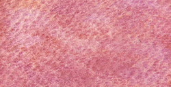 HOLBEIN ARTISTS' ACQUERELLO GRANULATO TUBETTO TWILIGHT PURPLE