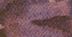 HOLBEIN ACUARELA GRANULADA ARTIST TUBO EURASIAN JAY ROSE GREY