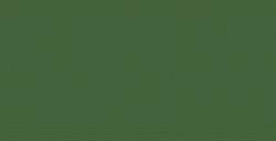 HOLBEIN ARTIST´S GOUACHE IRODORI MOEGI - LEEK GREEN SERIE A