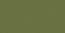 HOLBEIN ARTIST´S GOUACHE IRODORI UGUISU - ELM GREEN SERIE A