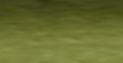 GOLDEN QOR ARTIST WATERCOLOR ACQUERELLO OLIVE GREEN SERIE 1