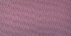 LEFRANC BOURGEOIS FLASHE COLORI ACRILICI A BASE BIOLOGICA PAINT SEA URCHIN GREY SERIE 2 N. 885