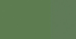 LEFRANC BOURGEOIS LINEL GOUACHE EXTRAFINE TUBETTO CHROMIUM OXIDE GREEN SERIE 1 N. 542