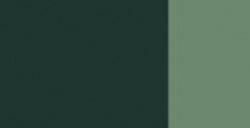LEFRANC BOURGEOIS LINEL GOUACHE EXTRAFINO TUBO VERDE OLIVA SERIE 2 Nº 541