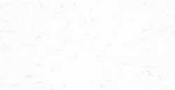 CARAN D'ACHE NEOART 6901 PASTELLI A CERA E AD OLIO WHITE N. 1