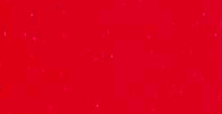 CARAN D'ACHE NEOART 6901 PASTELLI A CERA E AD OLIO SCARLET N. 70