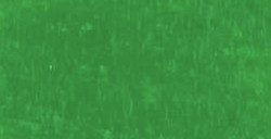 CARAN D'ACHE NEOART 6901 OIL PASTEL GRASS GREEN NO. 220