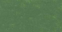 CARAN D'ACHE NEOART 6901 PASTELLI A CERA E AD OLIO MOSS GREEN N. 225