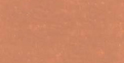 CARAN D'ACHE NEOART 6901 PASTELLI A CERA E AD OLIO BURNT OCHRE N. 77