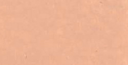 CARAN D'ACHE NEOART 6901 PASTELLI A CERA E AD OLIO BURNT OCHRE 10% N. 872