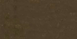 CARAN D'ACHE NEOART 6901 ÖLPASTELL RAW UMBER NR. 548