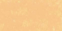 CARAN D'ACHE NEOART 6901 PASTELLI A CERA E AD OLIO BUTTERNUT N. 542