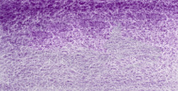 WHITE NIGHTS AQUARELLFARBE NÄPFCHEN COBALT VIOLET DEEP SERIE B NR. 603