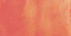 SHINHAN PWC EXTRAFEINE AQUARELLFARBE TUBE SHELL PINK SERIE A NR. 521