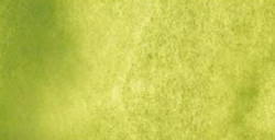 SHINHAN PWC ACQUERELLI EXTRAFINI TUBETTO TERRE VERTE (YELLOW SHADE) SERIE B N. 561