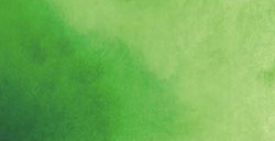 SHINHAN PWC AQUARELLE EXTRA-FINE TUBE VERT PERMANENT 2 SÉRIE B Nº 567