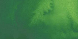 SHINHAN PWC ACQUERELLI EXTRAFINI TUBETTO CADMIUM GREEN SERIE C N. 569