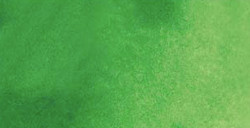 SHINHAN PWC ACQUERELLI EXTRAFINI TUBETTO HOOKER'S GREEN SERIE B N. 575