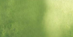 SHINHAN PWC AQUARELLE EXTRA-FINE TUBE OXYDE DE CHROME SÉRIE A Nº 591