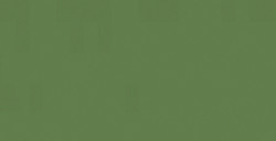 SHINHAN PROFESSIONAL DESIGNERS GOUACHE MOSS GREEN SERIE A N. 044