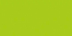 SHINHAN PROFESSIONAL DESIGNERS GOUACHE LEAF GREEN SERIE A N. 047
