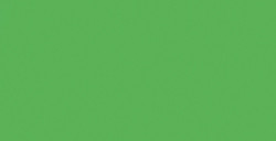 SHINHAN PROFESSIONAL DESIGNERS GOUACHE VERT PERMANENT CLAIR SÉRIE A Nº 049