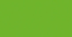 SHINHAN PROFESSIONAL DESIGNERS GOUACHE CADMIUM GREEN PALE SERIE D N. 051