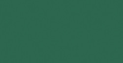 SHINHAN PROFESSIONAL DESIGNERS GOUACHE CADMIUM GREEN DEEP SERIE C N. 055