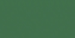 SHINHAN PROFESSIONAL DESIGNERS GOUACHE TERRE VERTE (YELLOW SHADE) SERIE B N. 058