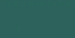 SHINHAN PROFESSIONAL DESIGNERS GOUACHE VIRIDIAN SERIE B N. 064
