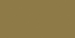 SHINHAN PROFESSIONAL DESIGNERS GOUACHE RAW UMBER SERIE A N. 136
