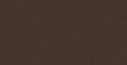 SHINHAN PROFESSIONAL DESIGNERS GOUACHE SÉPIA SÉRIE A Nº 144