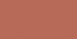 SHINHAN PROFESSIONAL DESIGNERS GOUACHE CUIVRE PERLE SÉRIE D Nº 179