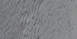 ANGELUS PEINTURE ACRYLIQUE POUR CUIR GRIS TAUPE Nº 166
