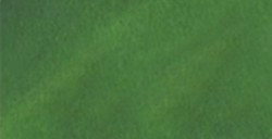 ANGELUS LEATHER DYE TEINTURE POUR CUIR VERT KELLY Nº 051