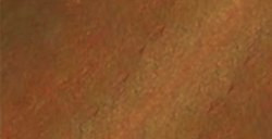 ANGELUS INCHIOSTRO PER PELLE LEATHER DYE LIGHT BROWN A N. 022
