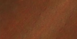 ANGELUS LEATHER DYE LIGHT BROWN NO. 021