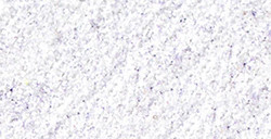 ANGELUS VERNICE ACRILICA PER PELLE GLITTERLITES WHITE SUGAR N. 205