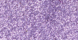 ANGELUS VERNICE ACRILICA PER PELLE GLITTERLITES LAVENDER LACE N. 228