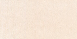 PANPASTEL 310.8 VERMILLON EXTRA CLAIR