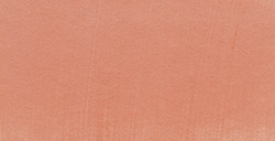 PANPASTEL 310.6 VERMILLON MOYEN