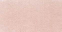 PANPASTEL 350.8 CRAMOISI EXTRA CLAIR