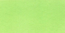 PANPASTEL 690.7 VERT JAUNÂTRE CLAIR