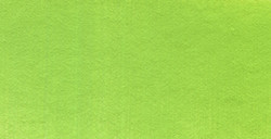 PANPASTEL 690.5 VERT JAUNÂTRE