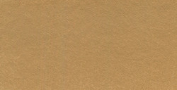 PANPASTEL 740.7 TERRE DE SIENNE BRÛLÉE CLAIRE